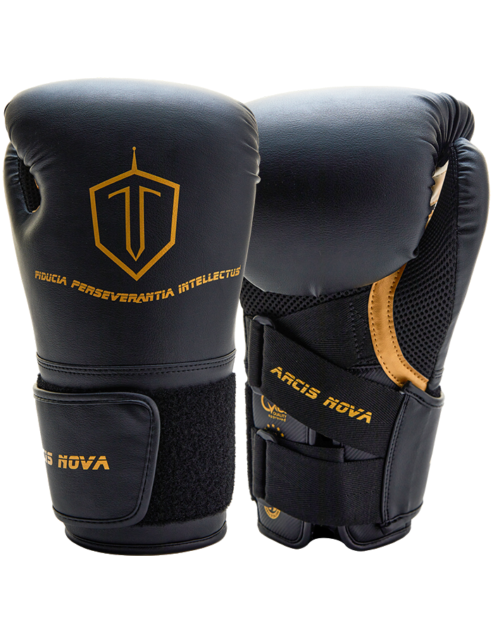 boxing-mma-gloves-arcis-mma-north-america